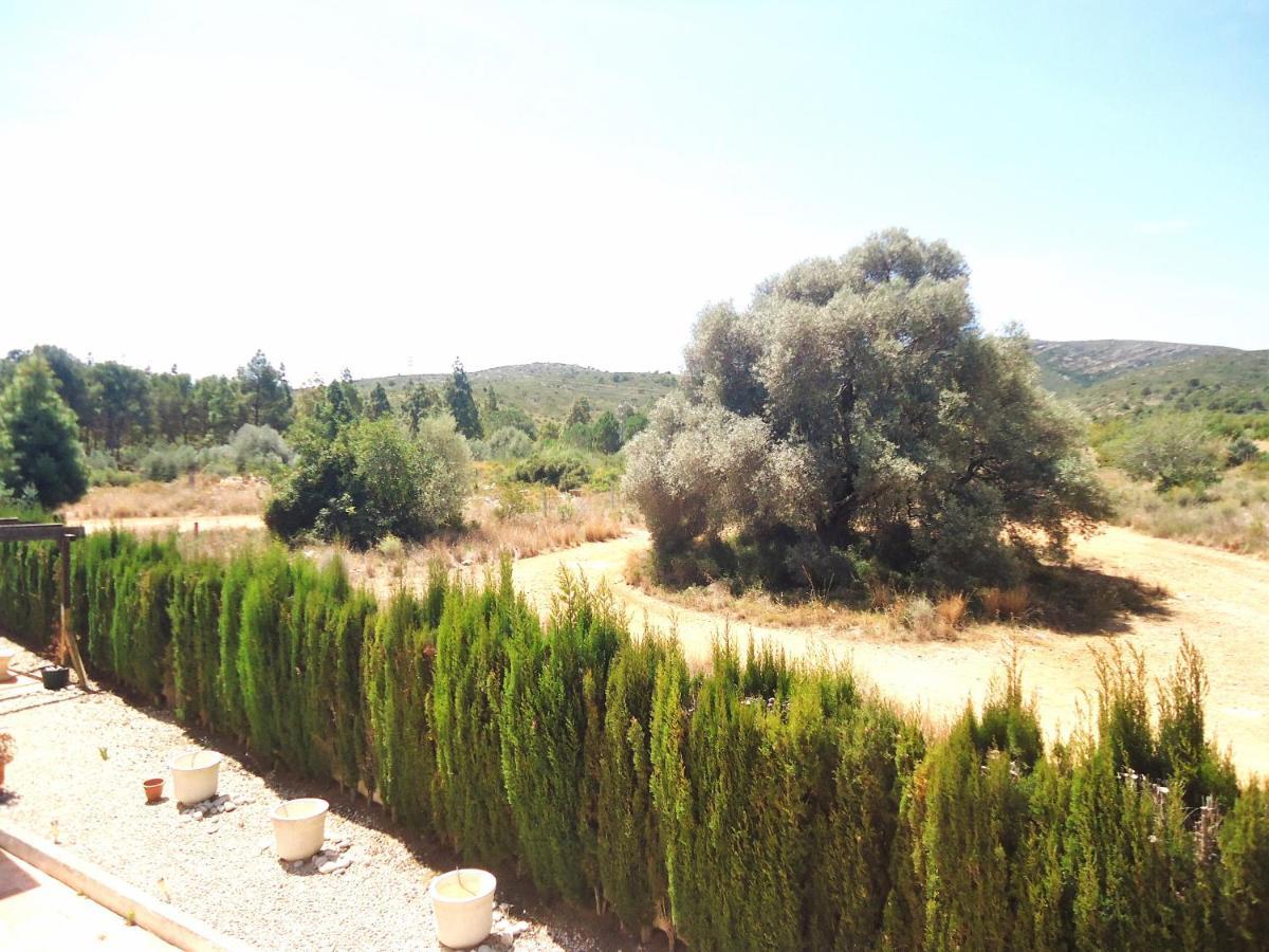 Los Olivos Residencial Lek Peñíscola Esterno foto